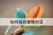 婚姻危机中如何挽回爱情（夫妻闹离婚的救赎之道）