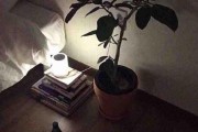挽回前男友，打破僵局！（教你实用招数，成功挽回他的心！）